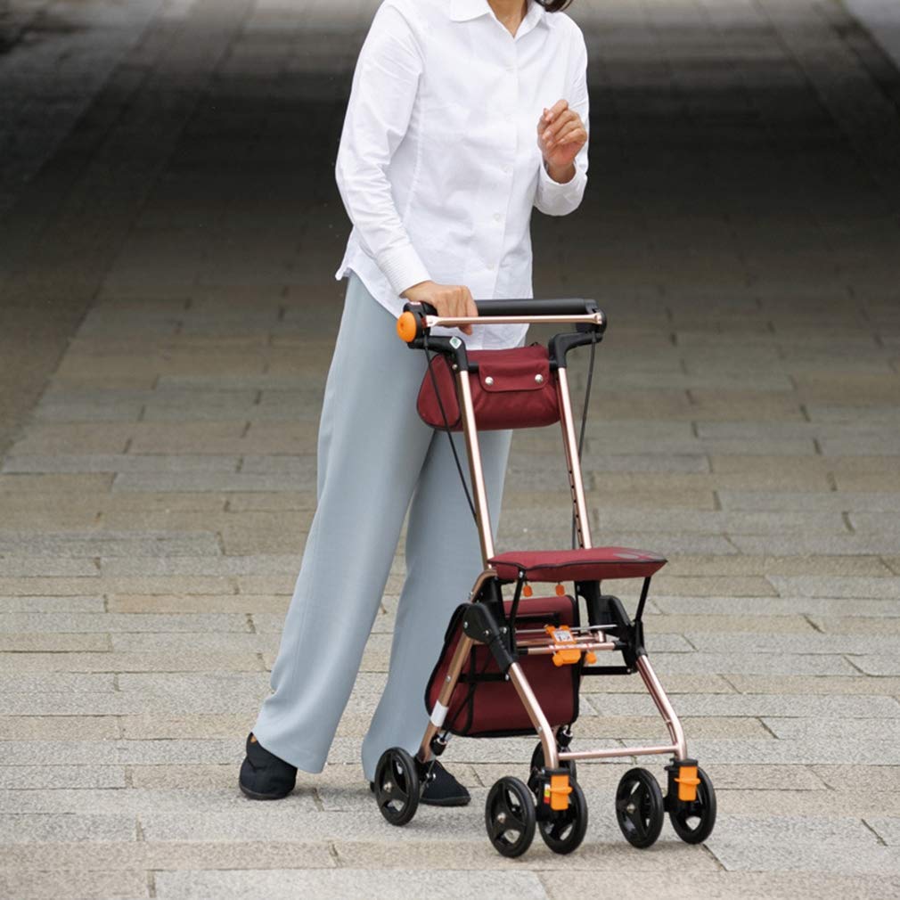 4 Wheels Foldable Rollator Walker with Seat E9309