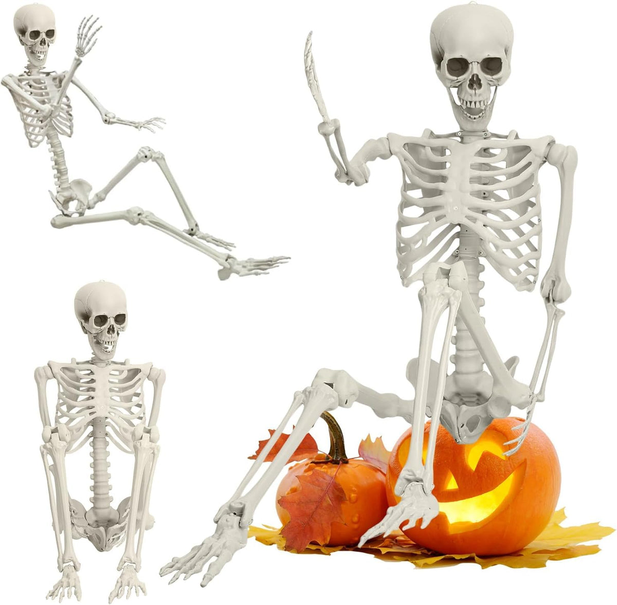 Life Size Full Body Skeleton Prop G5416