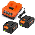 2 Pack 6.5Ah Replacement 20v Lithium Battery and Charger Kit A80699