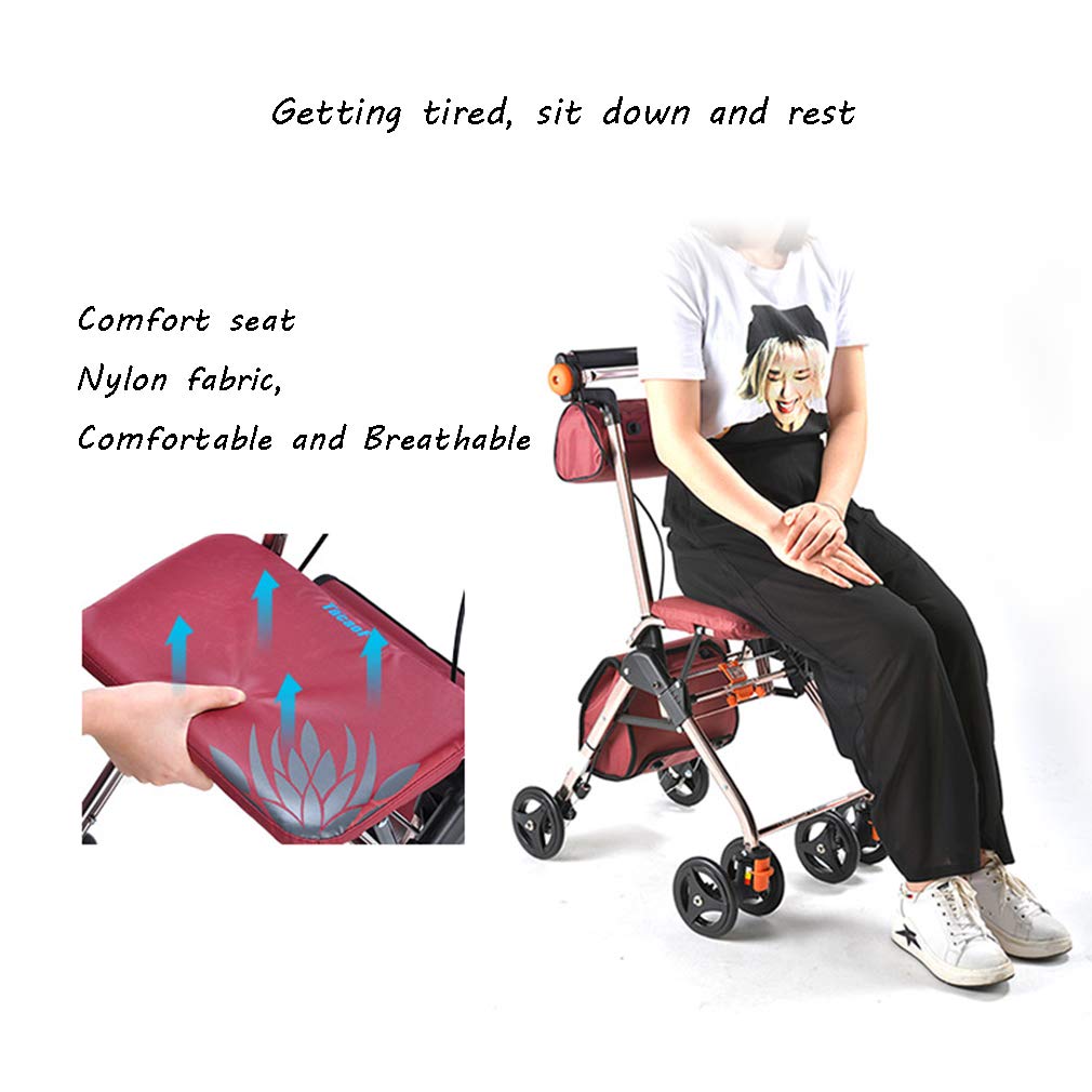 4 Wheels Foldable Rollator Walker with Seat E9309