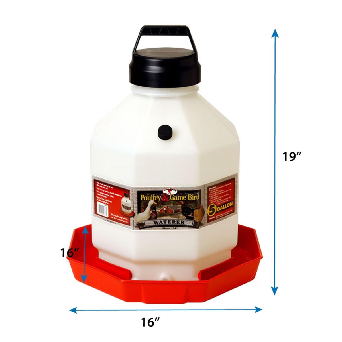 5 Gallon Translucent Plastic Poultry Waterer E8871