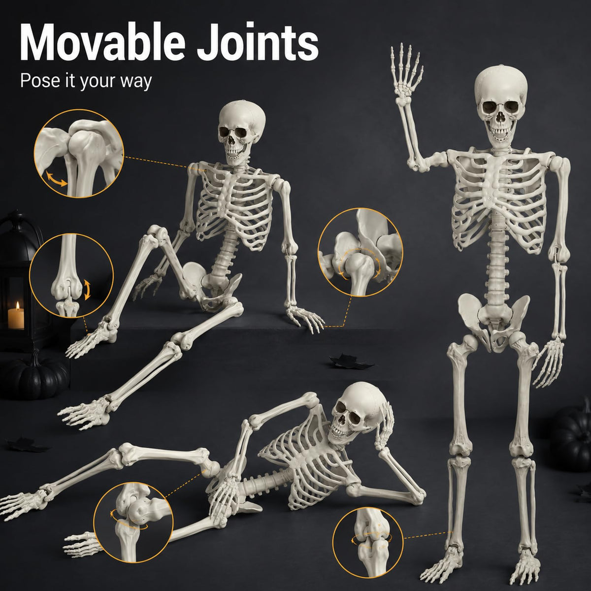 Life Size Full Body Skeleton Prop G5416