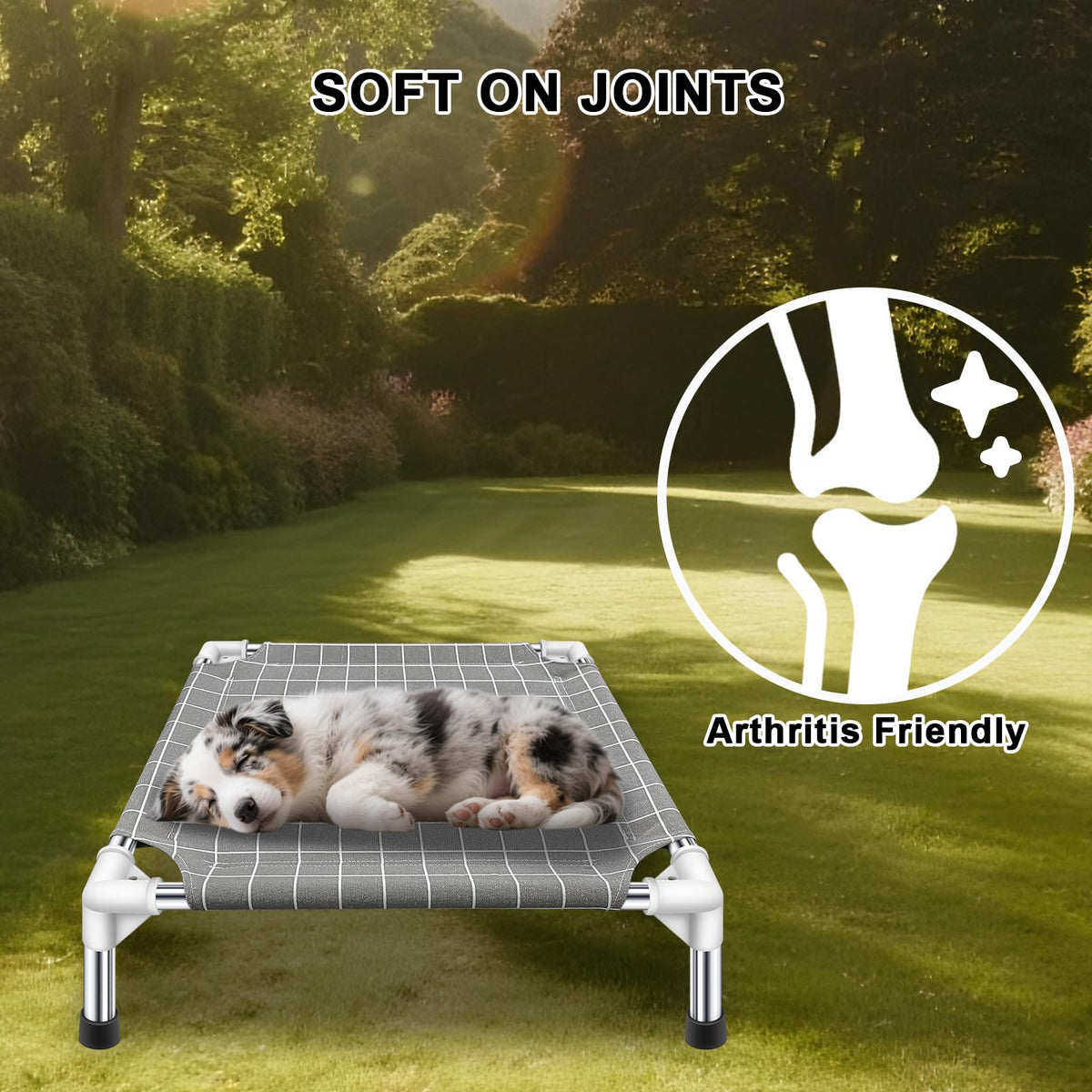 Raised Pet Bed N684