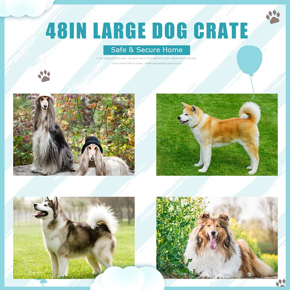 Black Metal Dog Crate Y7630