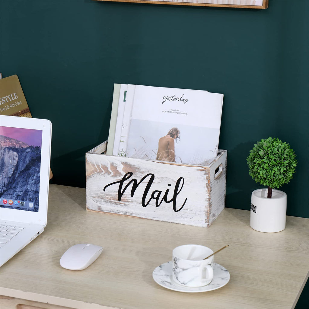 White Mail Organizer B1093