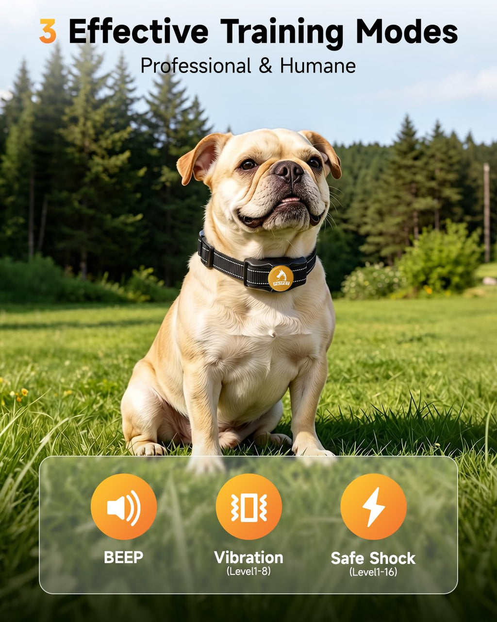 Rechargeable Dog Training Collar with Remote C18081