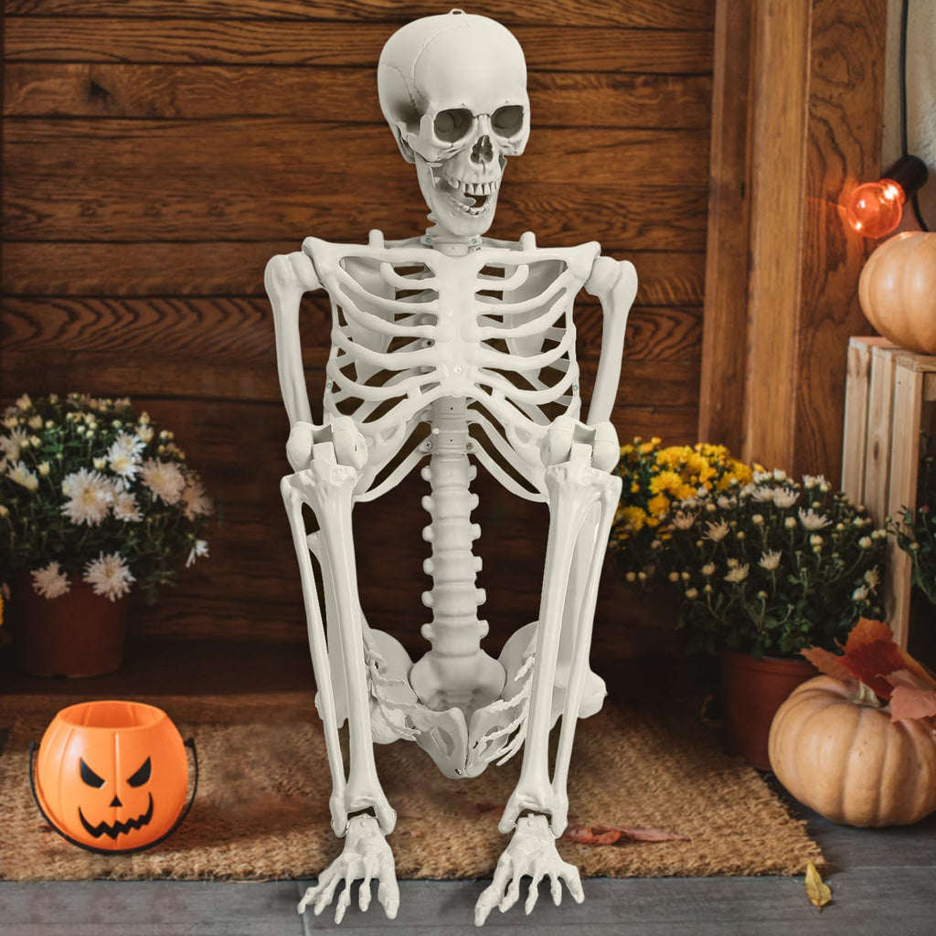 Life Size Full Body Skeleton Prop G5416