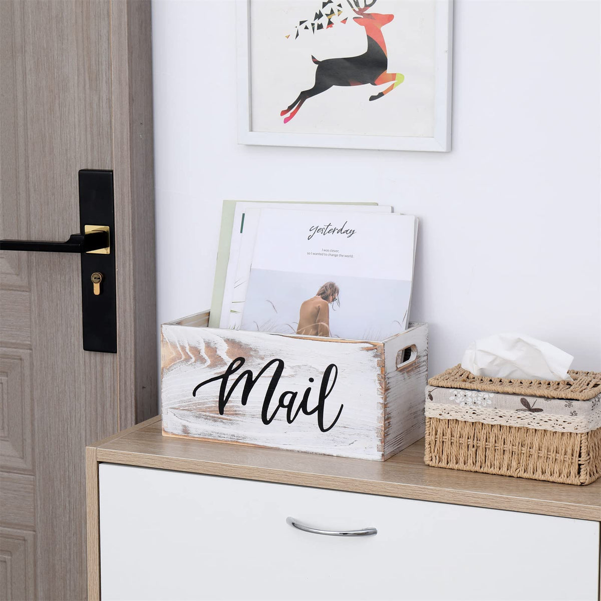 White Mail Organizer B1093
