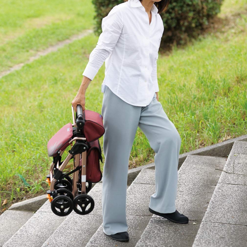 4 Wheels Foldable Rollator Walker with Seat E9309