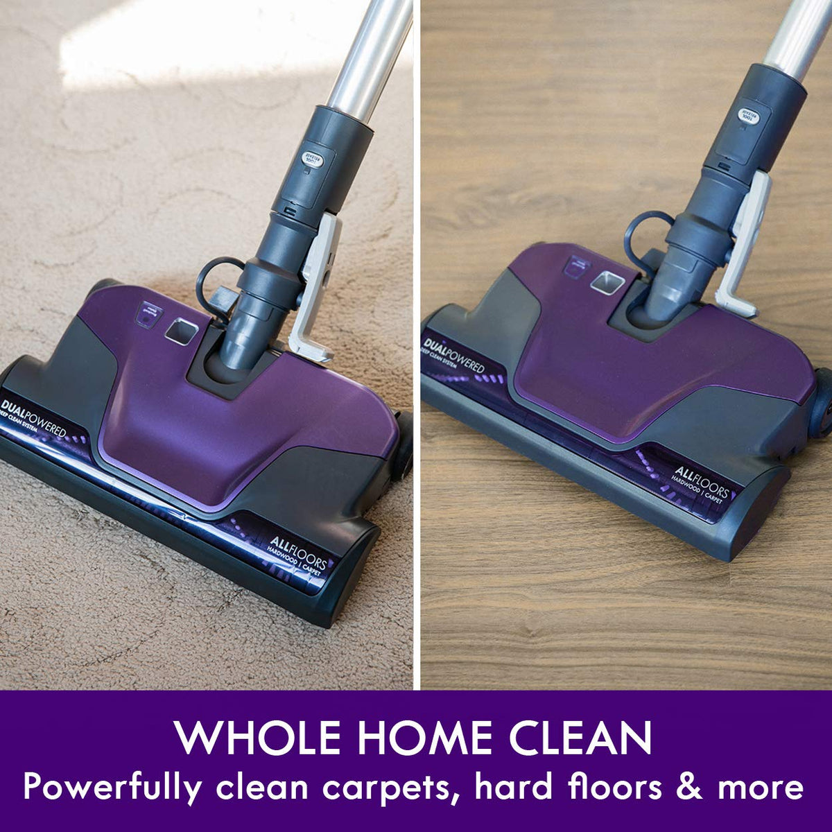 Bagged Canister Vacuum T781