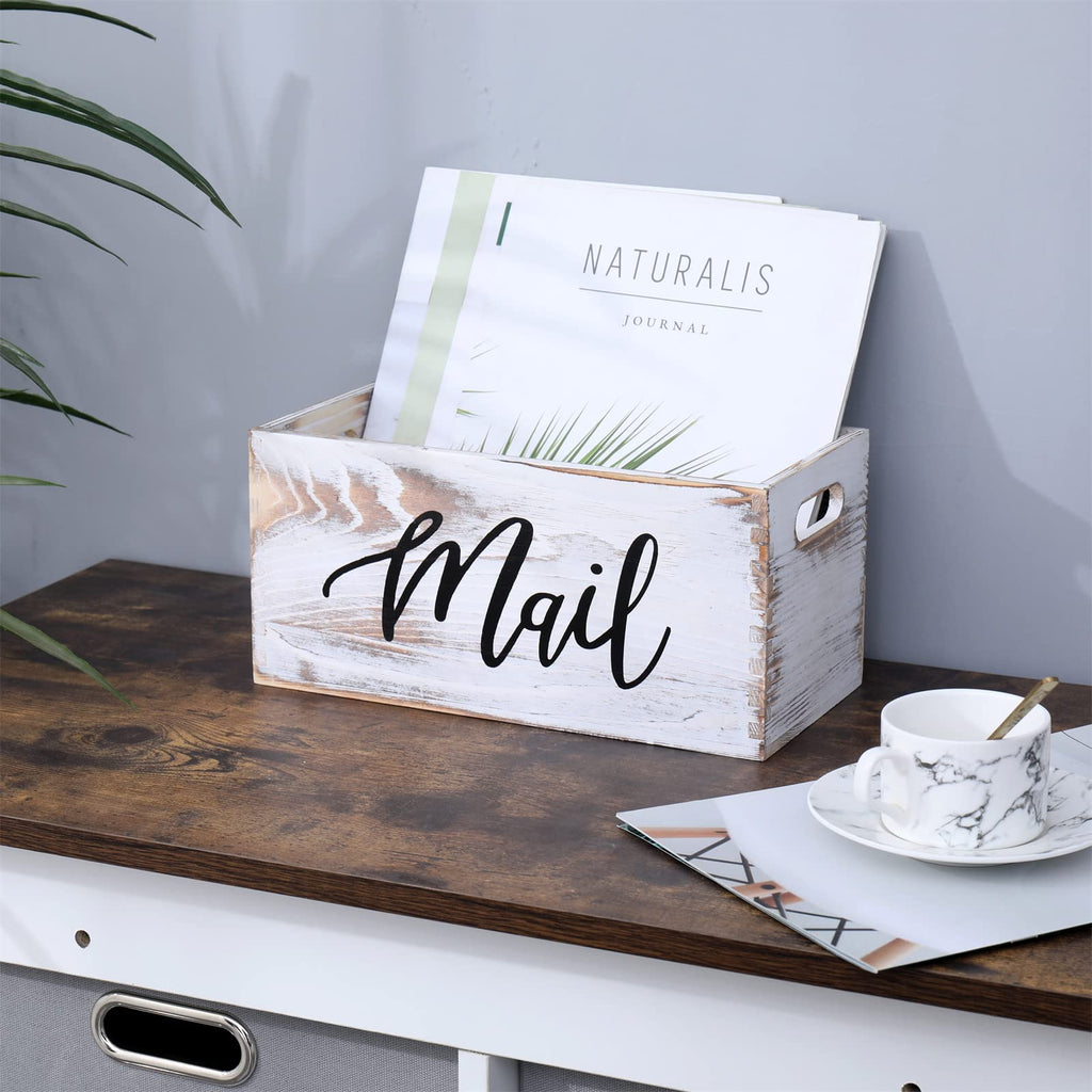 White Mail Organizer B1093