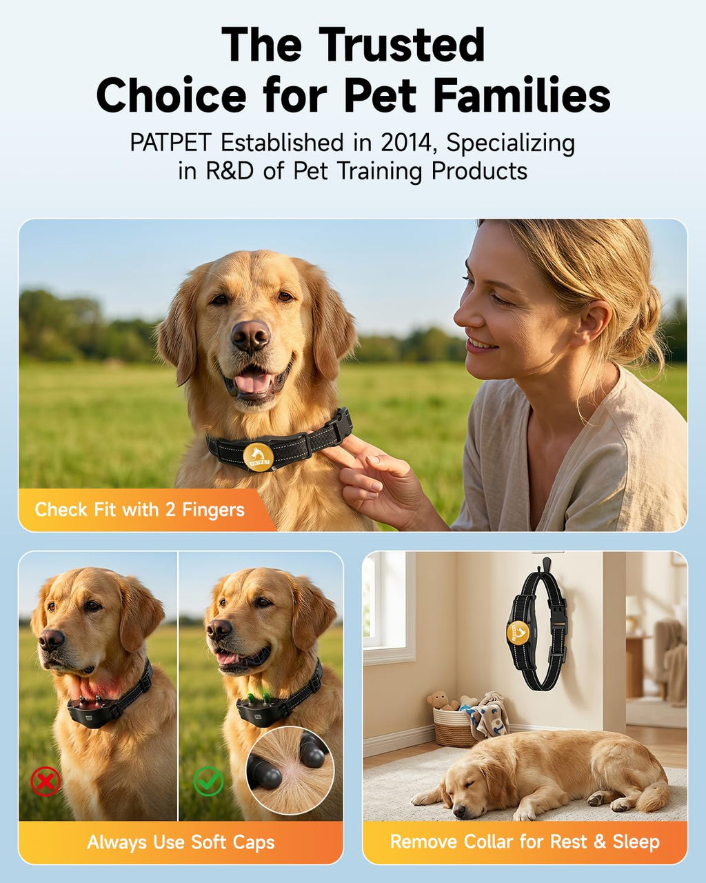 Rechargeable Dog Training Collar with Remote C18081