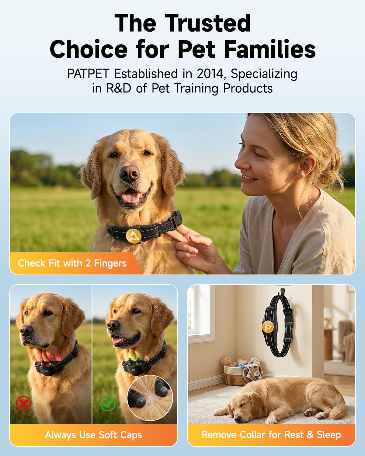 Rechargeable Dog Training Collar with Remote C18081