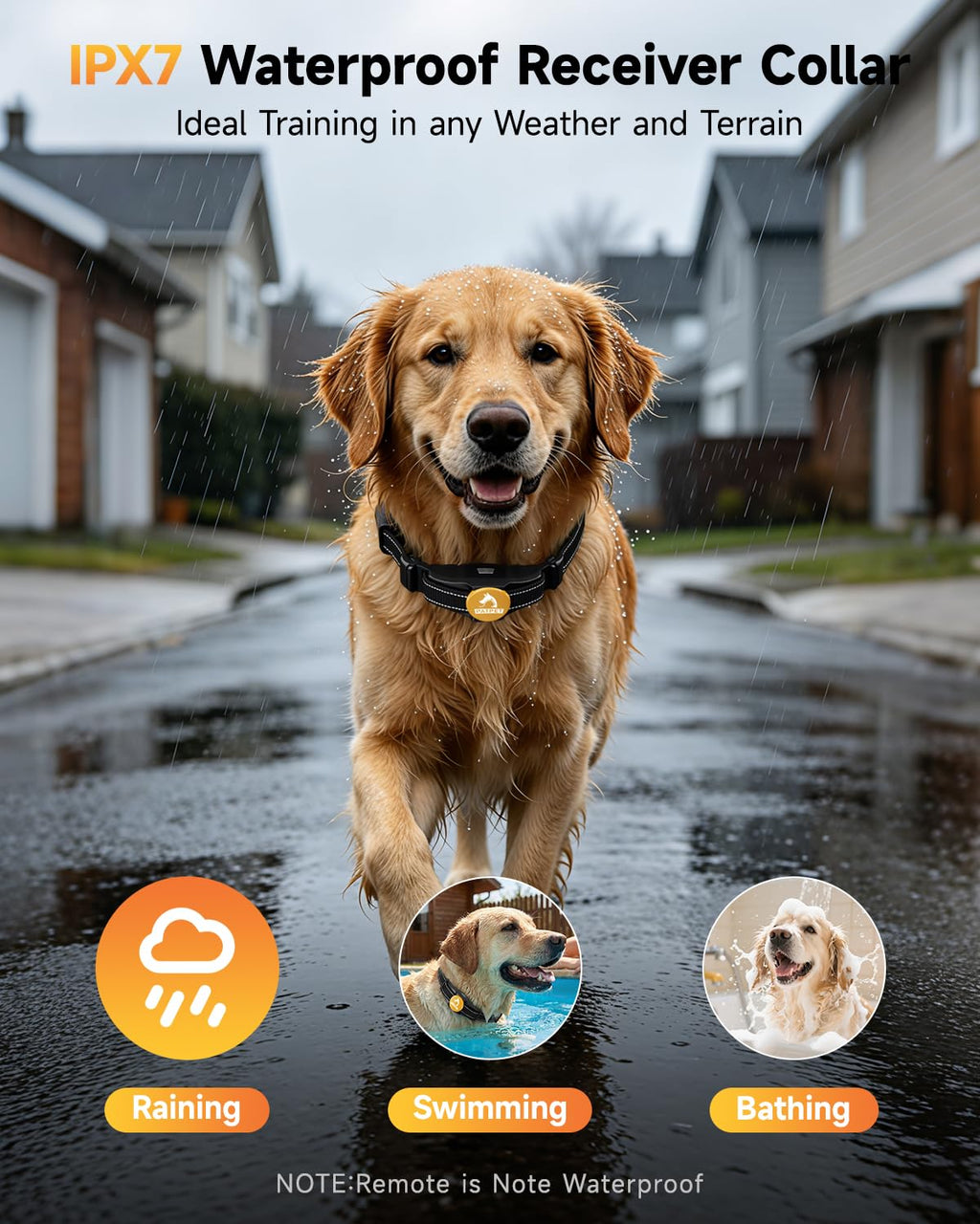 Rechargeable Dog Training Collar with Remote C18081