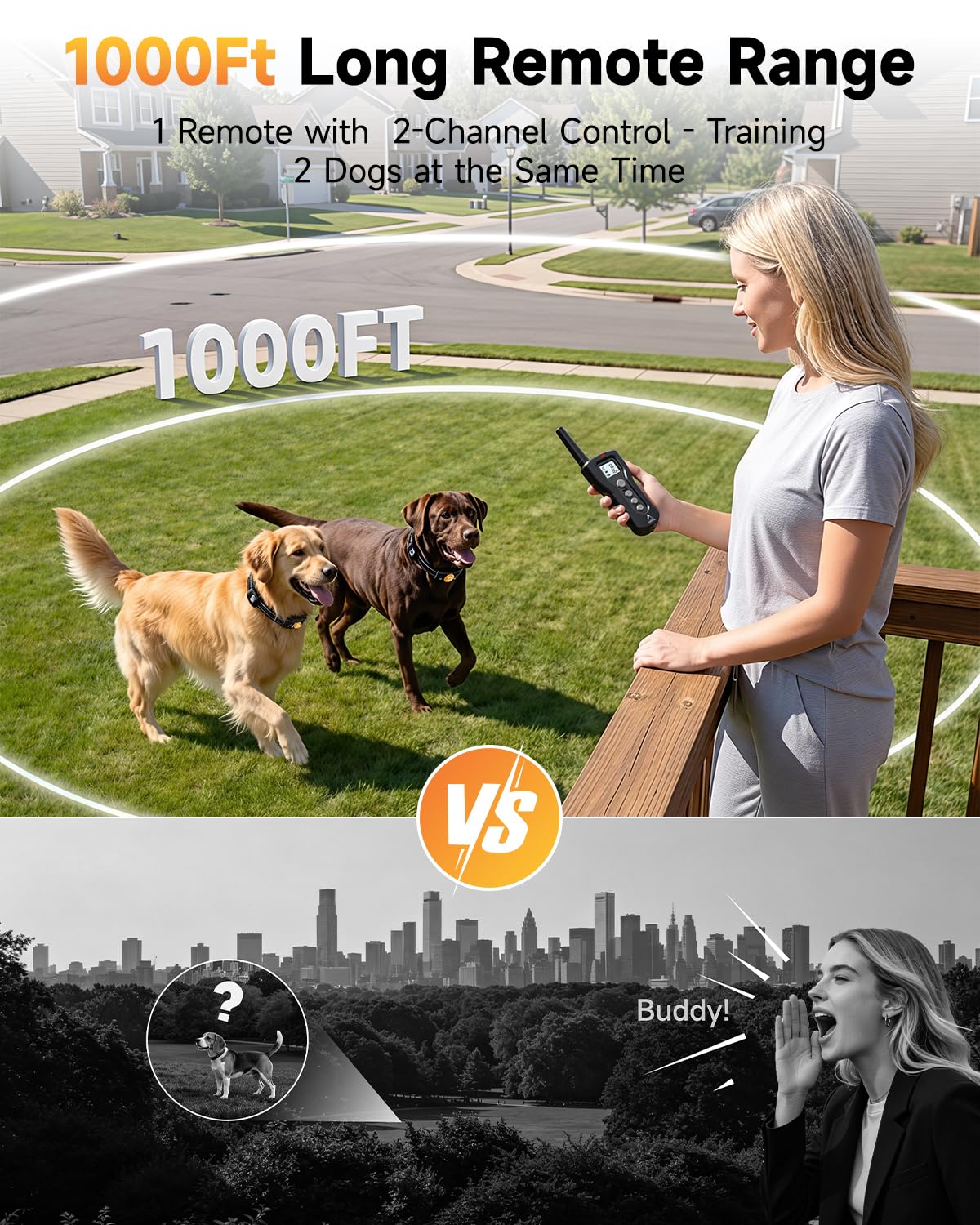 Rechargeable Dog Training Collar with Remote C18081