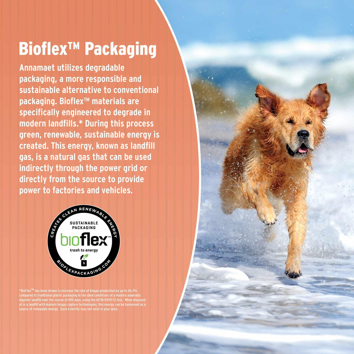 Dry Dog Food, 25% Protein Chicken & Brown Rice, 12-lb Bag F1891