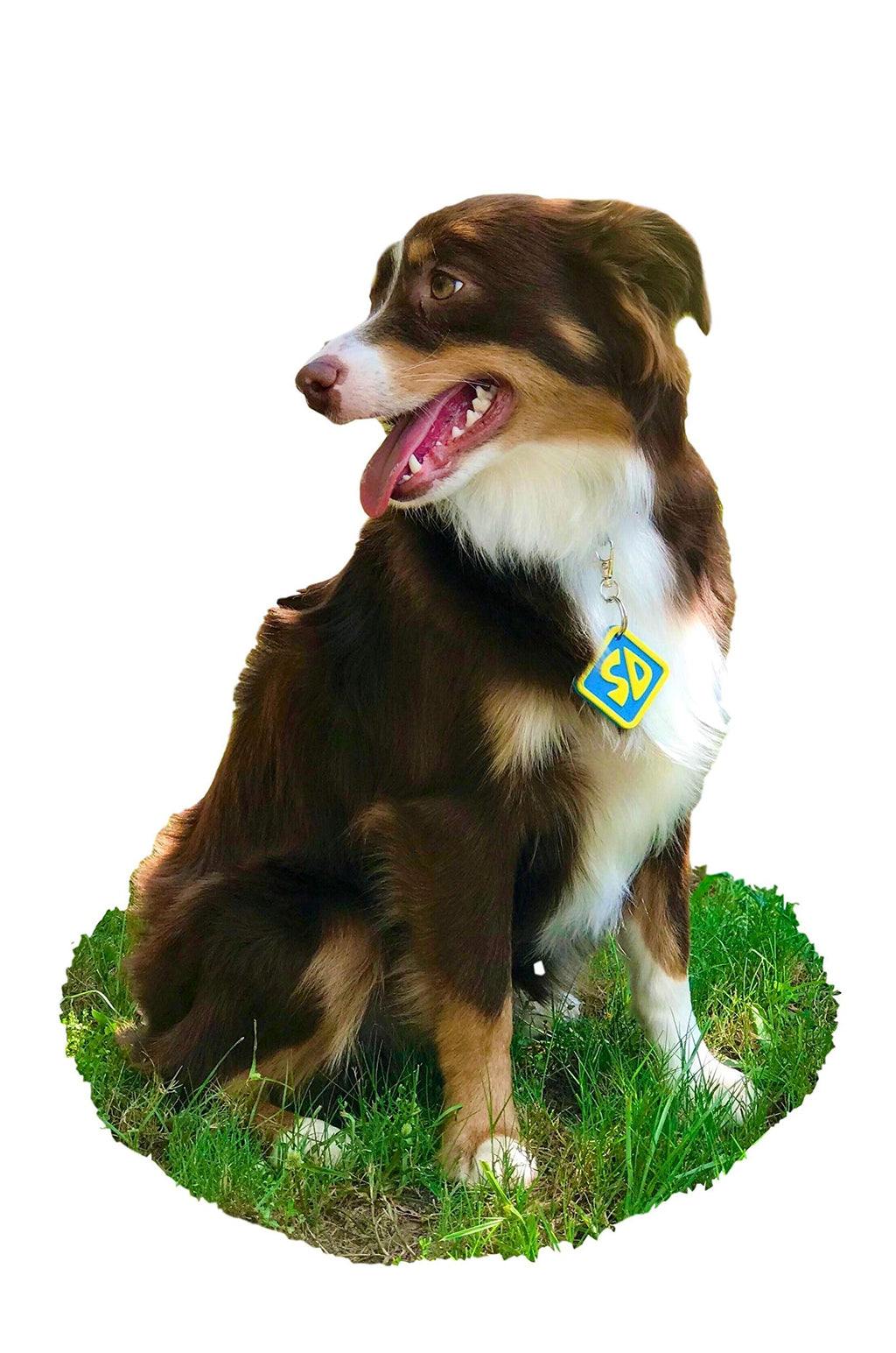 Dog Halloween Costume Collar Tag E786