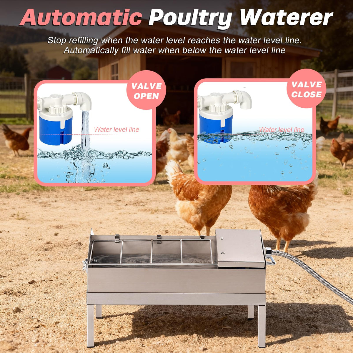 Automatic Chicken Waterer and Feeder B23724