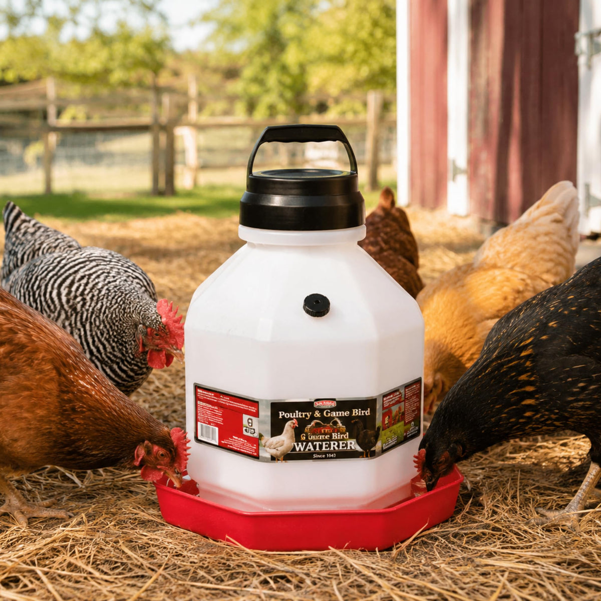 5 Gallon Translucent Plastic Poultry Waterer E8871