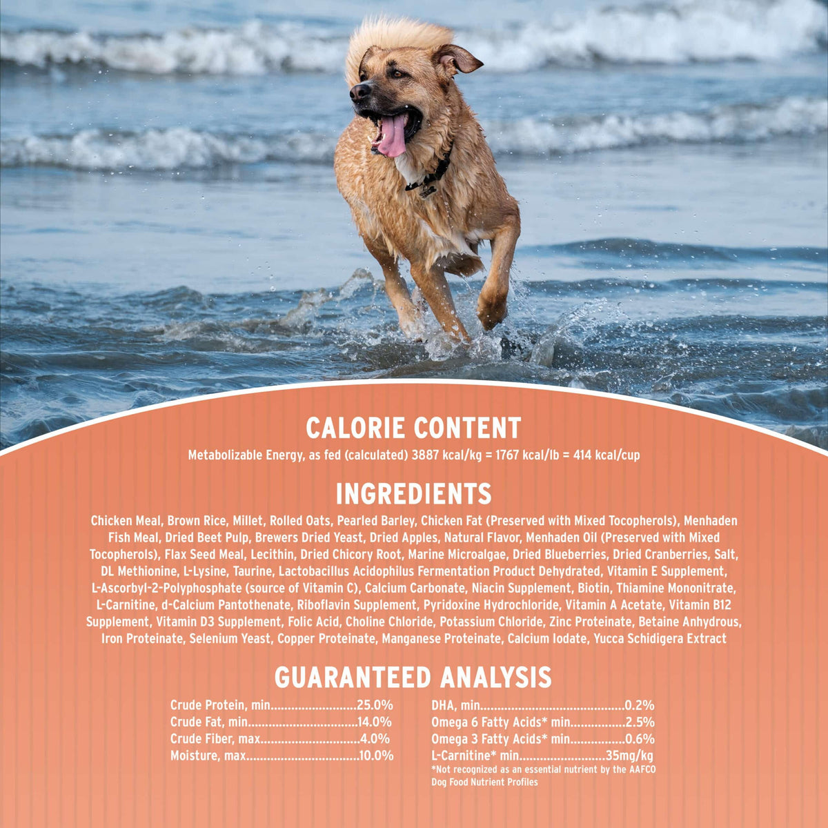 Dry Dog Food, 25% Protein Chicken & Brown Rice, 12-lb Bag F1891