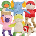 5 Pack Stuffed Squeaky Plush Dog Toys Y2574