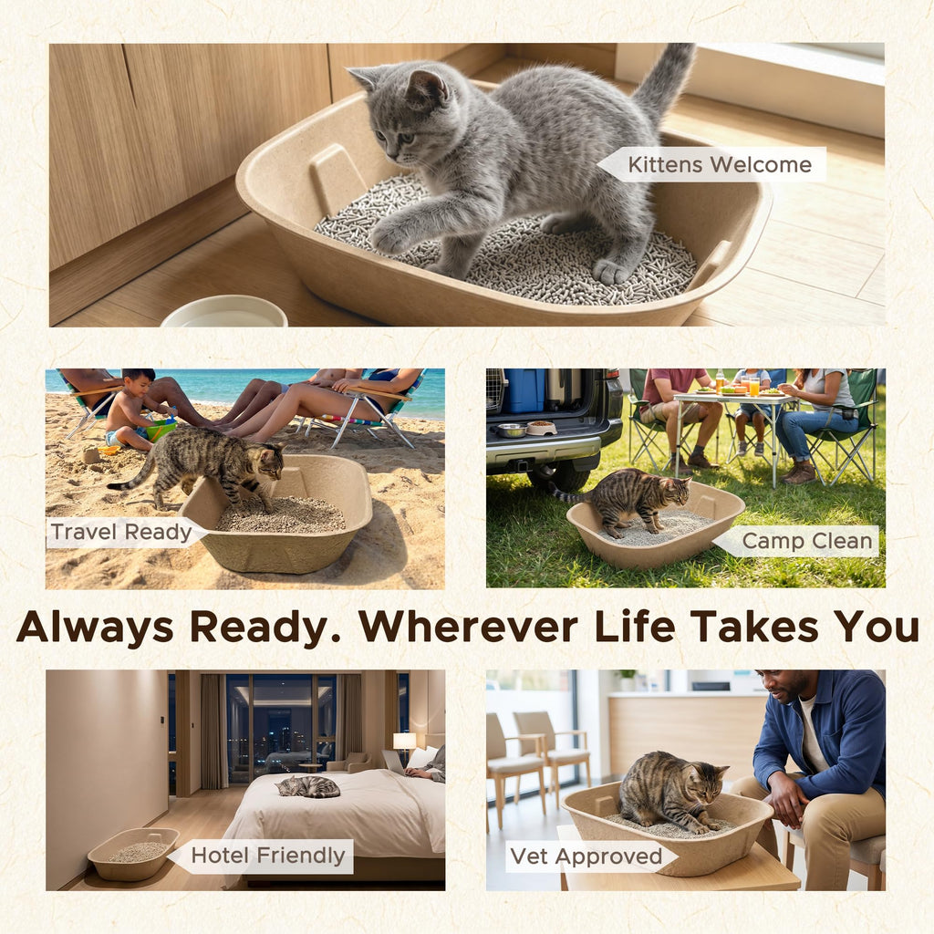 Disposable Litter Box for Kittens O307