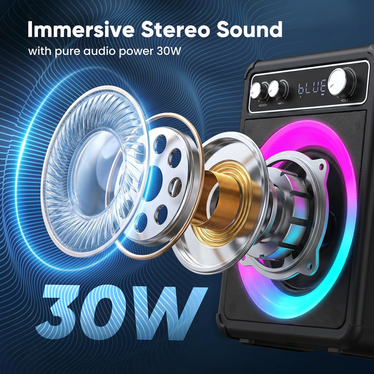 Karaoke Machine with 2 Wireless Mics J964