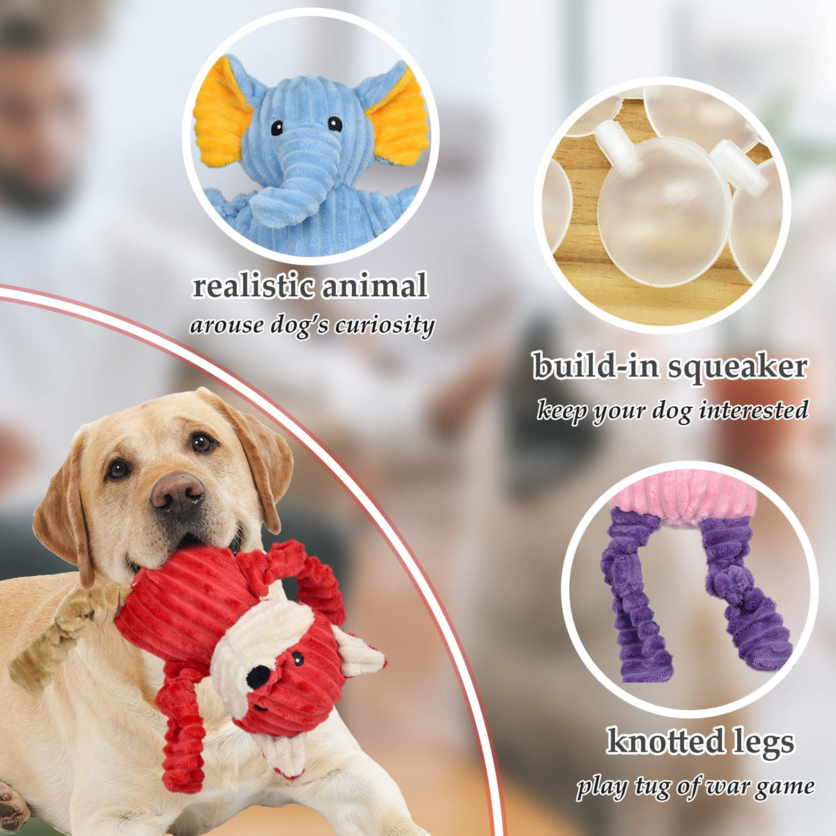 5 Pack Stuffed Squeaky Plush Dog Toys Y2574