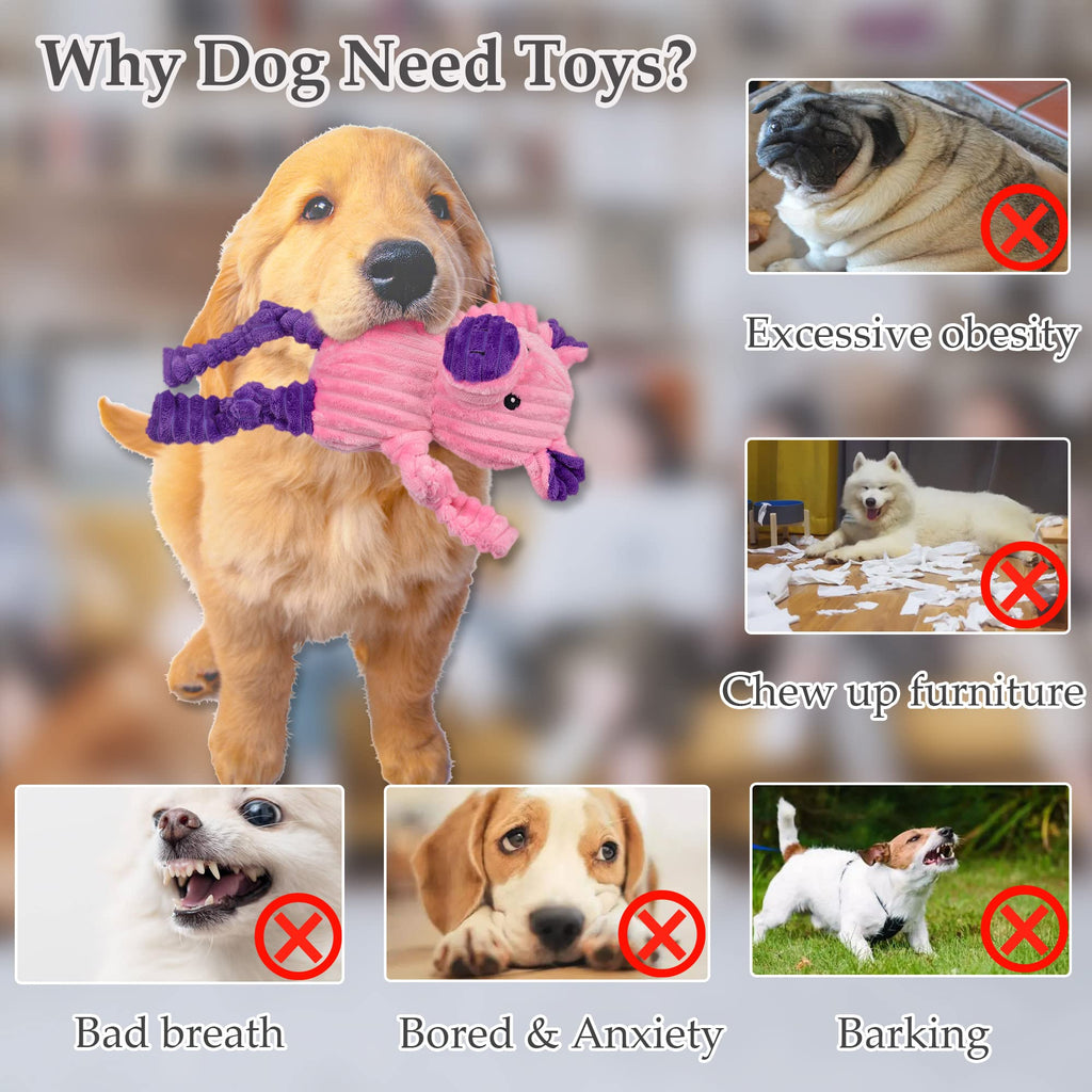 5 Pack Stuffed Squeaky Plush Dog Toys Y2574