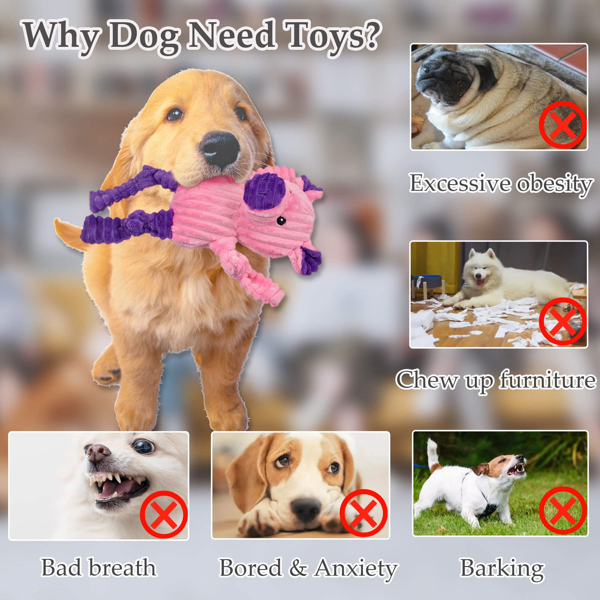 5 Pack Stuffed Squeaky Plush Dog Toys Y2574