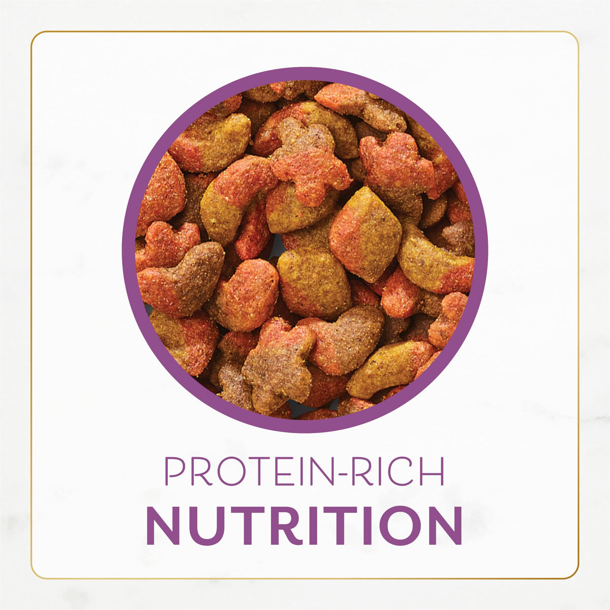 Dry Cat Food with Chicken and Turkey 7 lb Bag Pack of 2 D5159
