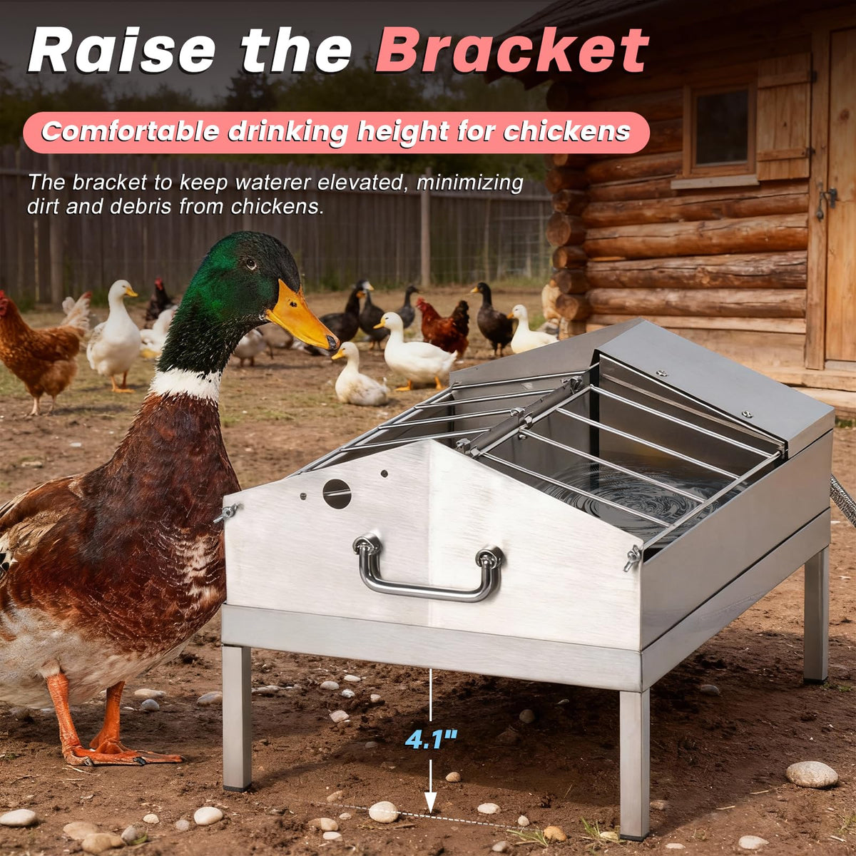 Automatic Chicken Waterer and Feeder B23724