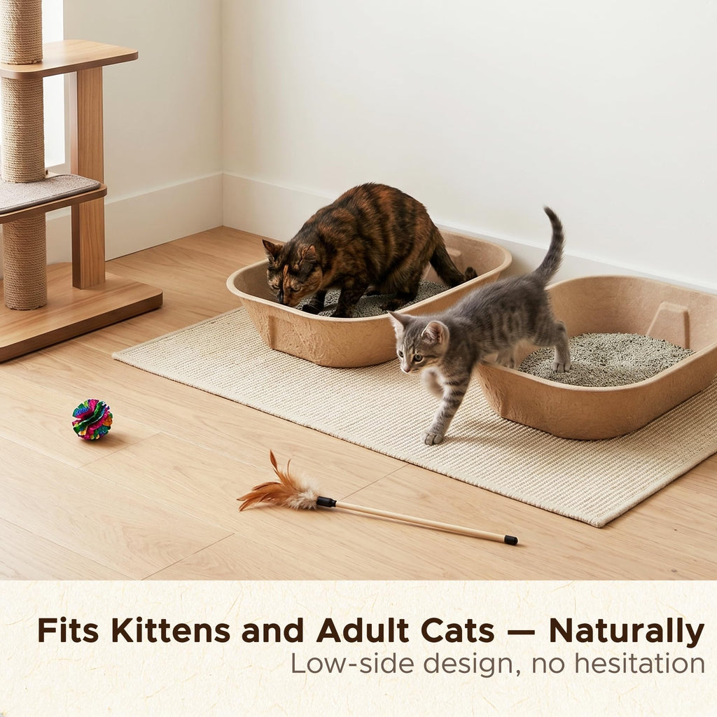 Disposable Litter Box for Kittens O307