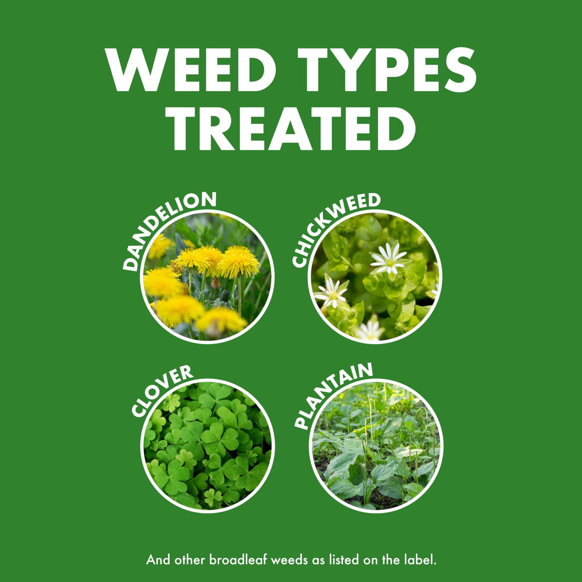 Weed & Feed 32 Oz 3 Pack E72260