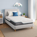 Twin 6 Inch Memory Foam Mattress Z25399