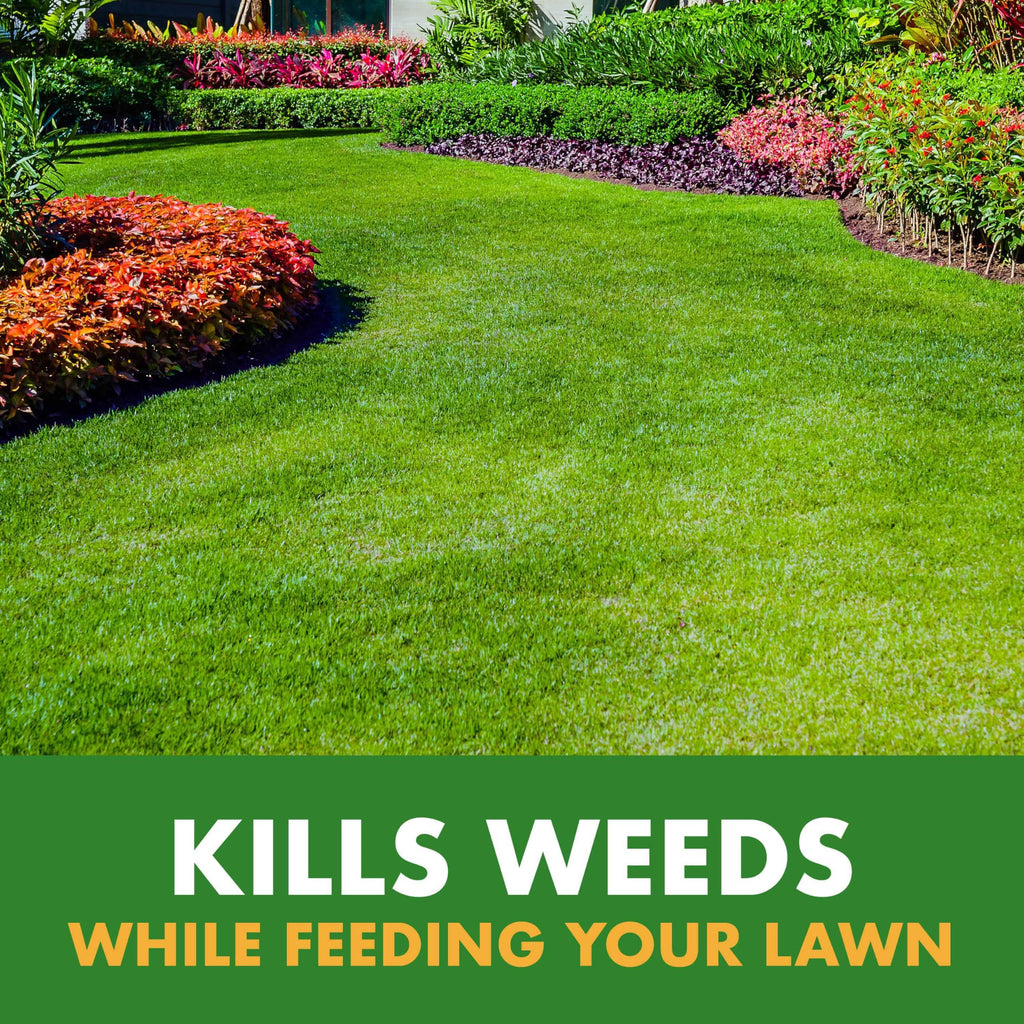 Weed & Feed 32 Oz 3 Pack E72260